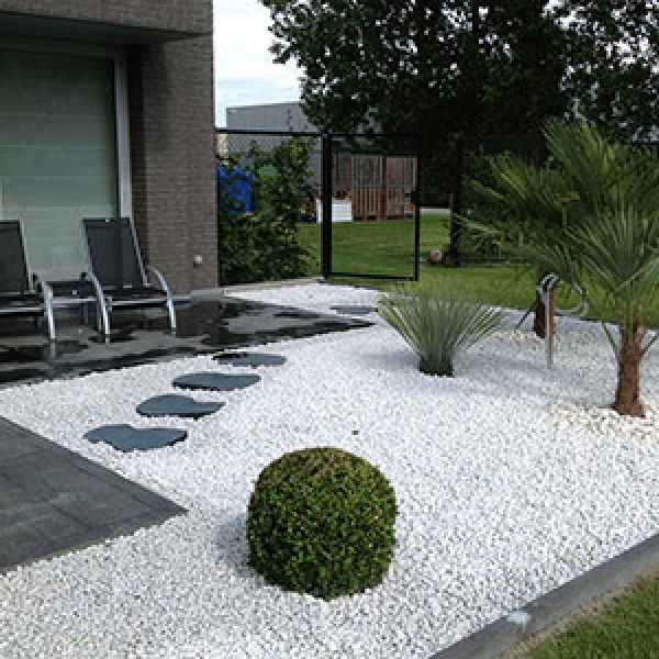 stapstenen-palmboom-yucca-rostrata