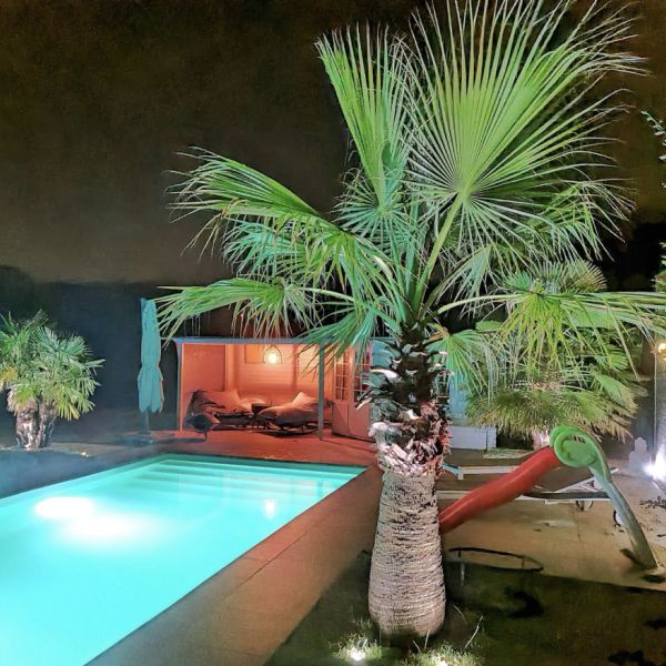 Palmboom-aan-zwembad